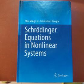Schroedinger Equations in Nonlinear Systems 施罗德非线性系统中的丁格方程