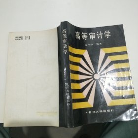 高等審計(jì)學(xué)