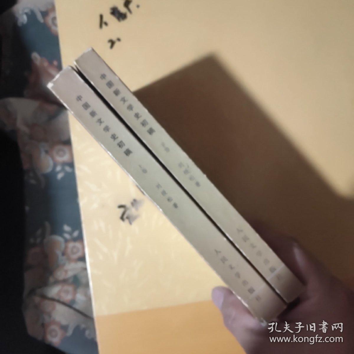 点击查看原图 中国新文学史初稿(上下册)