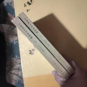 中国新文学史初稿(上下册)