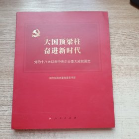 大国顶梁柱 奋进新时代 （大型画册）