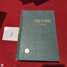 代数学辞典 问题解法 下