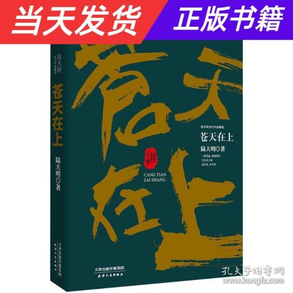 陆天明当代作品精选：苍天在上