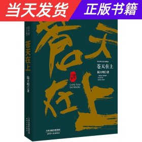 陆天明当代作品精选：苍天在上