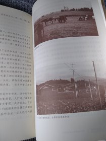 茶马古道上远逝的铃声-云南马帮马锅头口述历史