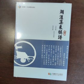 湖涯集象棋谱详解