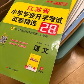 春雨考必胜 2023年江苏省小学毕业升学考试试卷精选：语文（28套卷 2023年小升初必备）