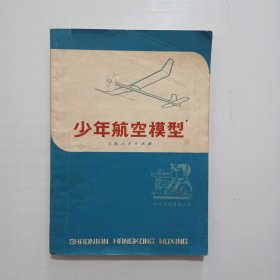 少年科技活动丛书 少年航空模型