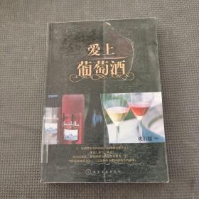 爱上葡萄酒