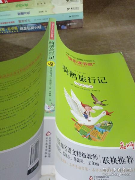 骑鹅旅行记（六年级下册名师讲解版）/“快乐读书吧”·统编小学语文教材配套阅读丛书
