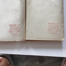 中国现代文学史（上下册）