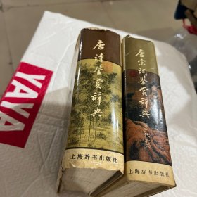 唐诗鉴赏辞典+唐宋词鉴赏辞典（共2本）