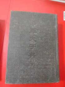 中华大字典(缩印本全二册)