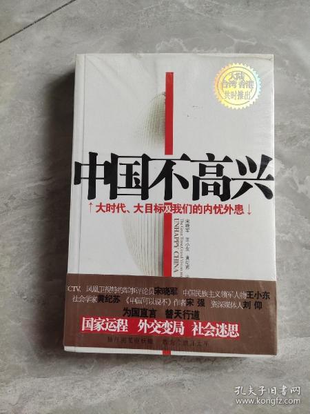 中国不高兴：大时代大目标及我们的内忧外患