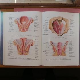 人体解剖彩色图谱【大16开•精装本】