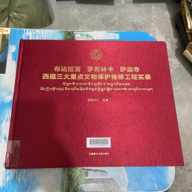 《布达拉宫 罗布林卡 萨迦寺西藏三大重点文物保护维修工程实录》
