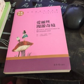 爱丽丝漫游奇境 中小学生课外阅读书籍世界经典文学名著青少年儿童文学读物故事书名家名译原汁原味读原著