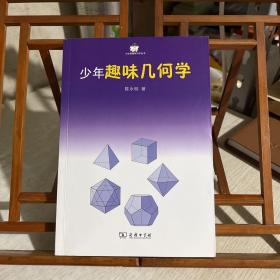 小企鹅趣味科学丛书：少年趣味几何学