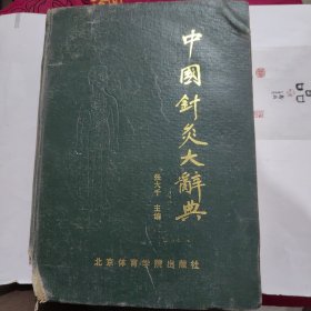 中国针灸大辞典