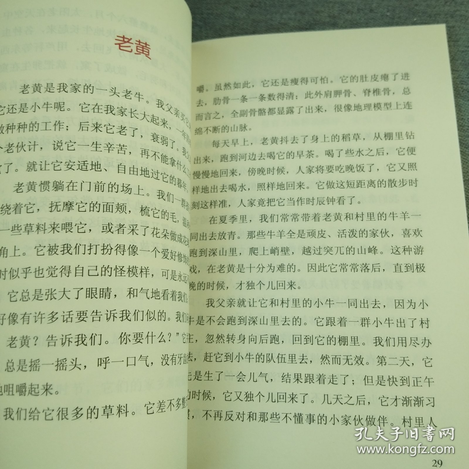 人教版语文同步阅读·课文作家作品系列·叶圣陶儿童文学集：荷花