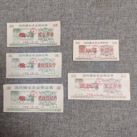 145.团风镇（91.10～91.12）粮面5枚