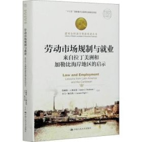 劳动市场规制与就业：来自拉丁美洲和加勒比海岸地区的启示（；“十三五”国家重点出版物出版规划项目）