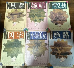 新公案小说：恩怨、婉姑、情义劫、凶宅，绝路、小镇孤女【6册合售】
