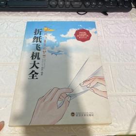 折纸飞机大全：放飞童年的梦想