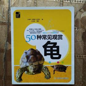 50种常见观赏龟
