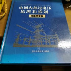 电网内部过电压原理和抑制—陈维贤文集