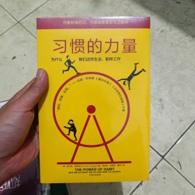 习惯的力量：为什么我们会这样生活，那样工作（全新未拆封）