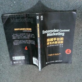 超越平台的原生内容运营企业新媒体运营与管理  丁林 电子工业出版社