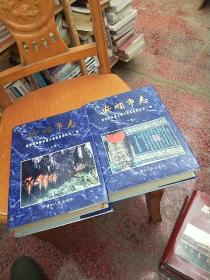 安顺市志(上下)