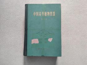 中国高等植物图鉴（第四册）