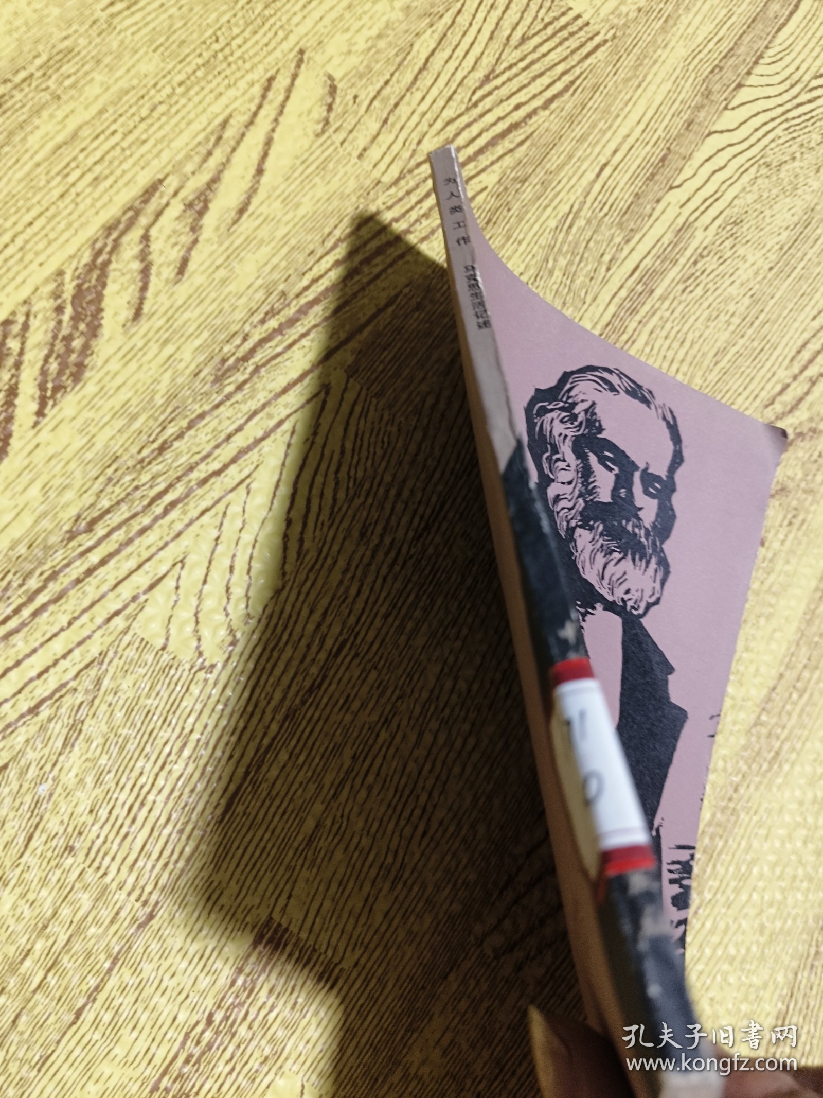 为人类工作：马克思生活记述