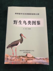野生鸟类图鉴-陕西富平石川河国家湿地公园。