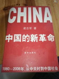 中国的新革命:1980～2006年，从中关村到中国社会