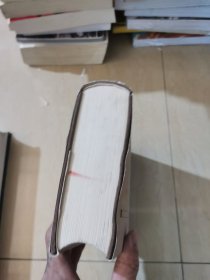 光绪顺天府志 （八）