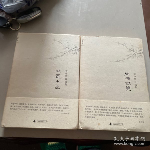 闲情记美：资中筠自选集之五