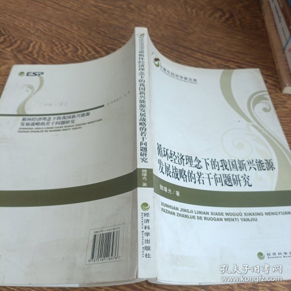 中青年经济学家文库：循环经济理念下的我国新兴能源发展战略的若干问题研究