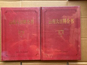 云南大百科全书： 经济  （上下全两册）大开本、皮面精装 全新未拆封