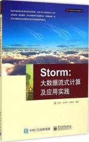 Storm：大数据流式计算及应用实践 9787121195686