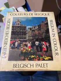 COULEURS DE BELGIQUE
BELGISCH PALETBELGIUMIN COLOURFARBENREICHES BELGIEN  签名本