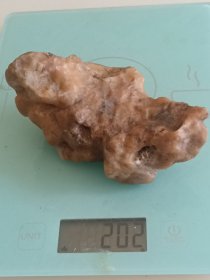 阿拉善奇石-风砺石/戈壁石10*6cm
