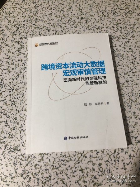 跨境资本流动大数据宏观审慎管理：面向新时代的金融科技监管新框架