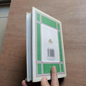 纪伯伦全集 第5卷