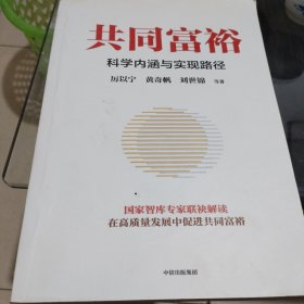 共同富裕：科学内涵与实现路径 黄奇帆、刘世锦、马建堂 联袂解读