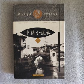 鲁迅文学奖获奖作品丛书.中篇小说卷下册