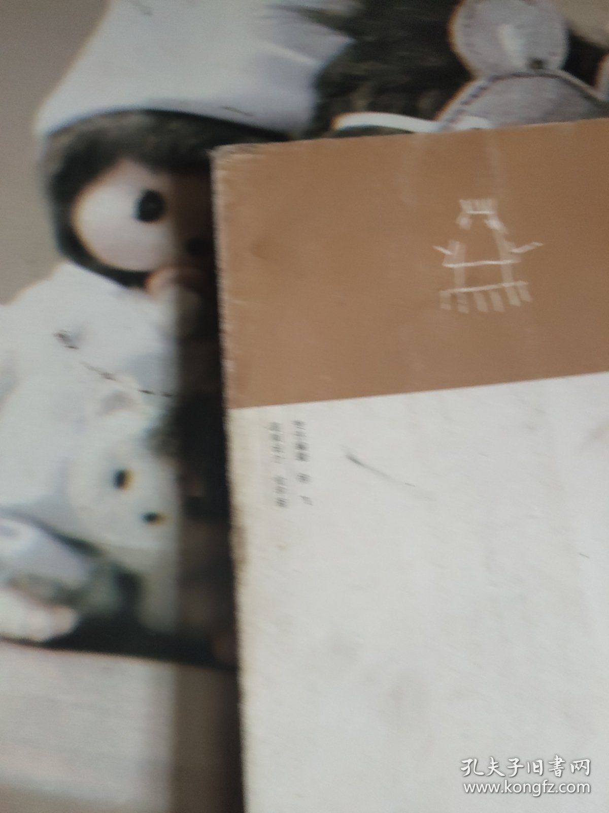 宁波文化丛书第一辑：奇构巧筑（宁波建筑文化）