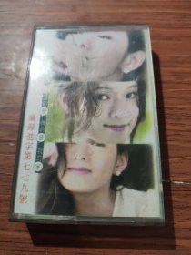 磁带 《赵咏华 我的爱我的梦我的家》